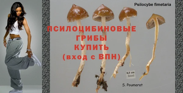 сатива Богданович