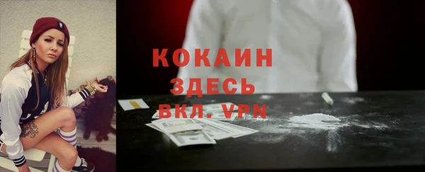 сатива Богданович
