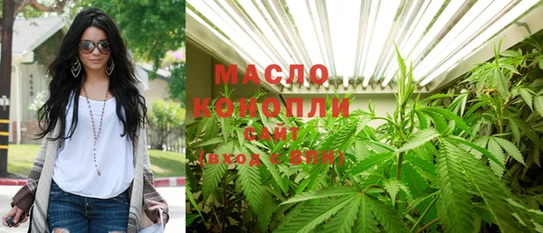 сатива Богданович