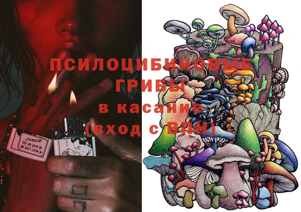 дурь Богородск