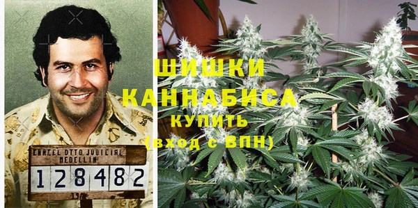 сатива Богданович