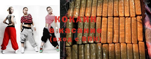 сатива Богданович