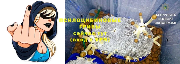 трава Богородицк