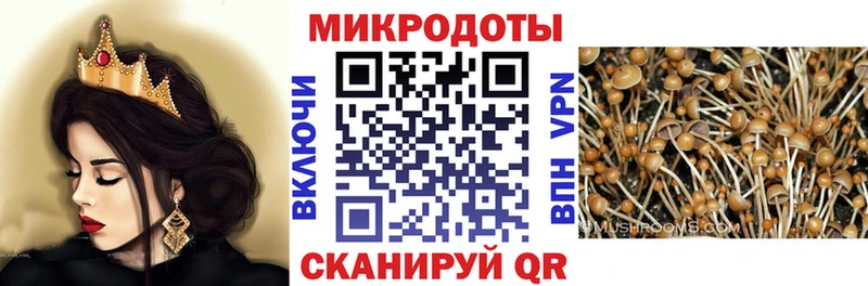 Псилоцибиновые грибы GOLDEN TEACHER  Городец 